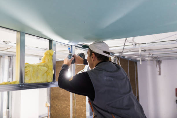 Best Insulation for New Construction  in Dane, WI